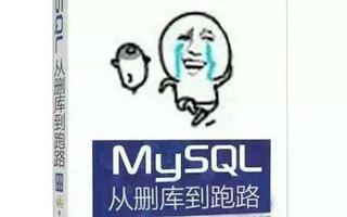 [6] backtrader自定义feed使用mysql数据源